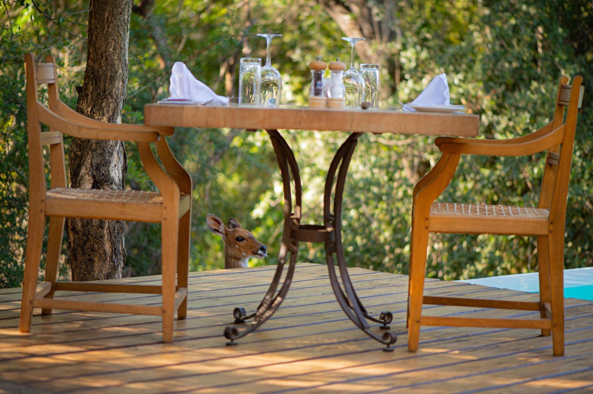 Kapama Southern Camp Hoedspruit Εξωτερικό φωτογραφία